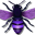 VioletBee