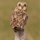 owl_enthusiast
