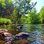 Nat7146