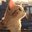 kittencuddles21