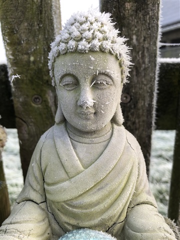 buddha