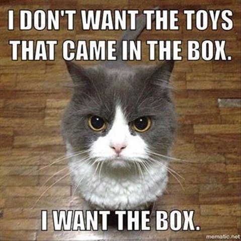 Boxing Day Does That Mean I Can Hide In A Box Until This Things Over Autistic Adults Home National Autistic Society Our Community