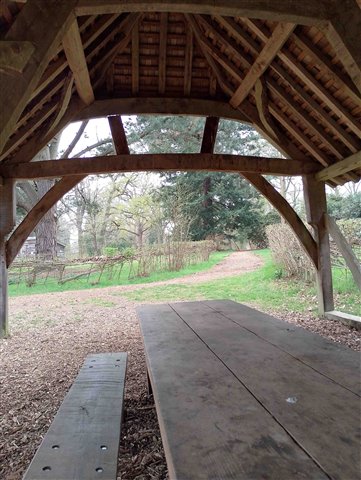 Wooden Cruck Barn In Woodland